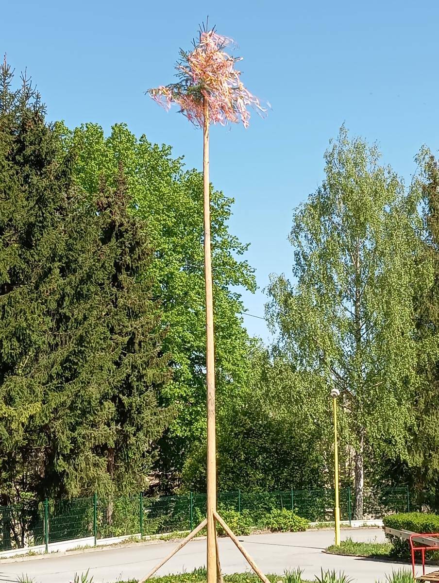 IMG 20240430 101923